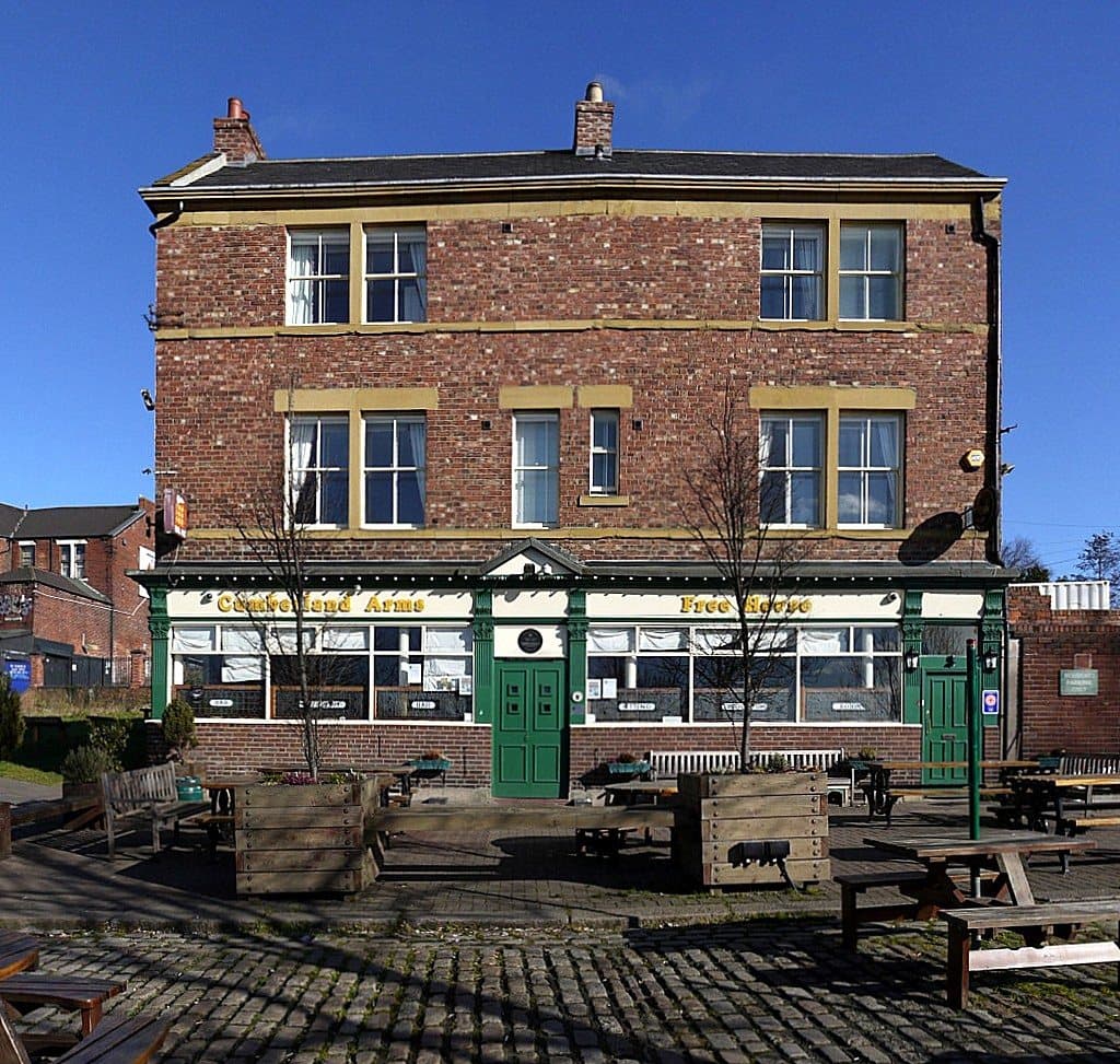 Dog Friendly Pubs in Newcastle: 8 Locals Where Your Dog Is Welcome